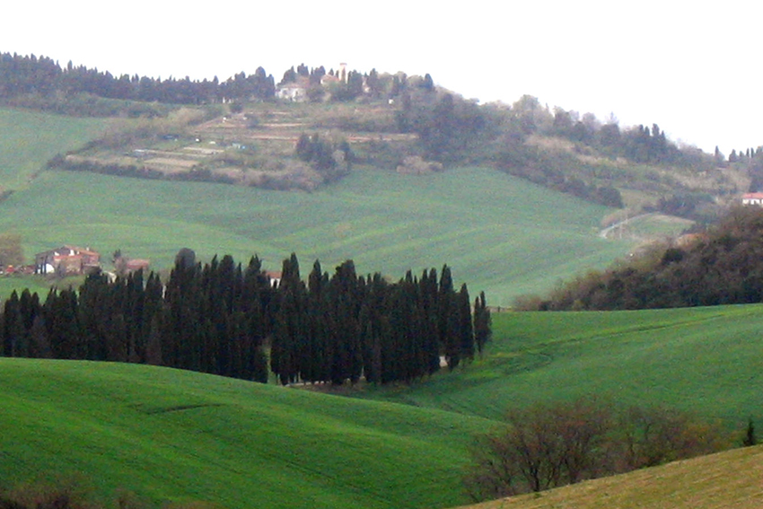 Collesalvetti